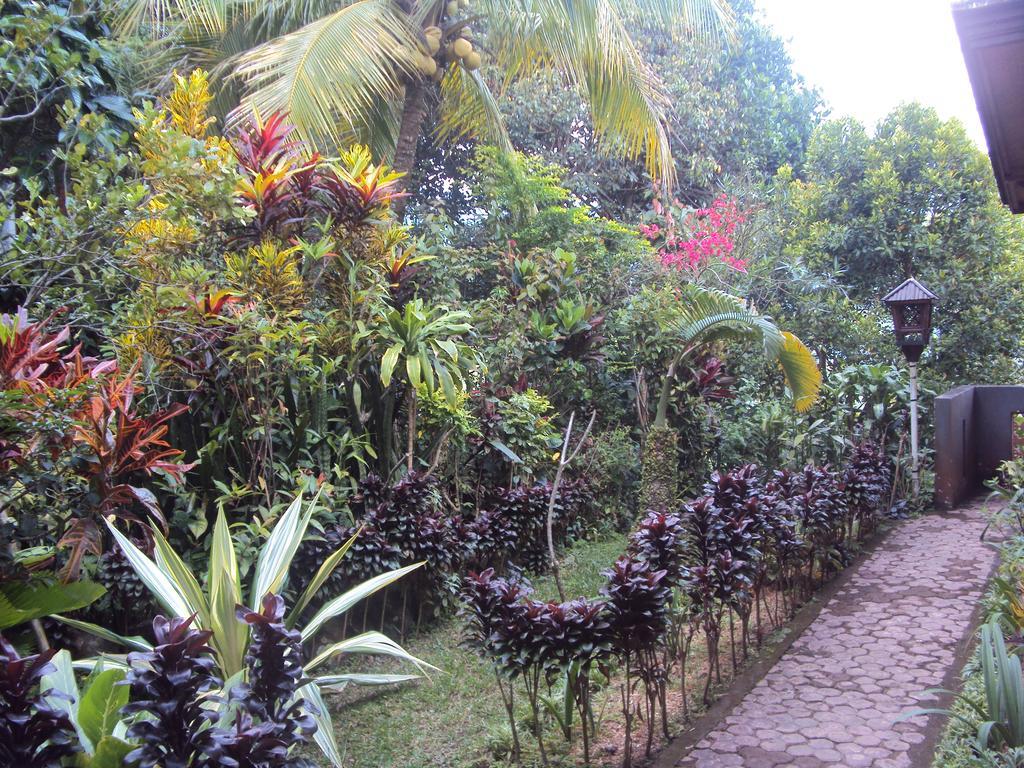 Made Homestay Munduk Exterior photo